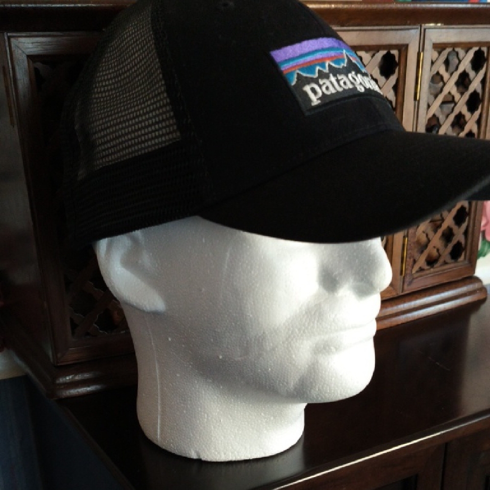 Patagonia Black Mesh Cap